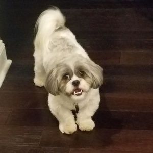 Meet your Posher, Jason